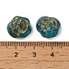 Transparent Lampwork Beads LAMP-P065-01A-02-3