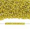 TOHO 8/0 Round Beads SEED-TR08-1013-4