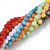 Natural Freshwater Shell Beads Strands SHEL-N003-24-6