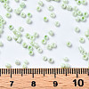 Glass Seed Beads SEED-S060-A-971-5