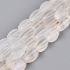 Natural Agate Beads Strands G-Q604-02A-12-1