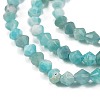 Natural Amazonite Beads Strands G-H003-D09-01-3