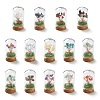 Natural Mixed Gemstone Chips Money Tree in Dome Glass Bell Jars with Wood Base Display Decorations DJEW-K030-02-1