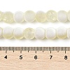 Frosted Crackle Glass Beads Strands GLAA-U001-6mm-M11-4