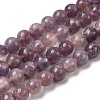 Natural Plum Blossom Tourmaline Beads Strands G-I355-01A-02-2
