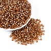 Silver Lined Glass Seed Beads SEED-T007-18A-12-1