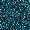 MIYUKI Delica Beads SEED-MY11-DB1764-3