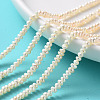 Grade AA Natural Cultured Freshwater Pearl Beads Strands PEAR-L003-B-03-01-4