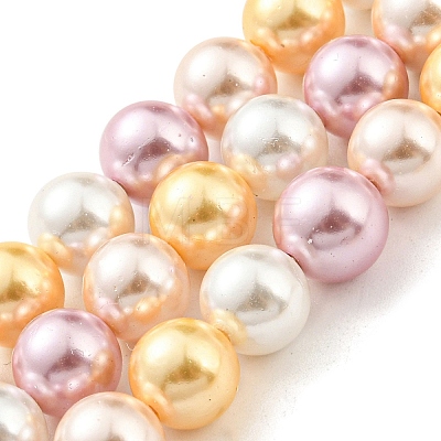 Electroplated Natural Shell Beads Strands SHEL-F008-03B-05-1