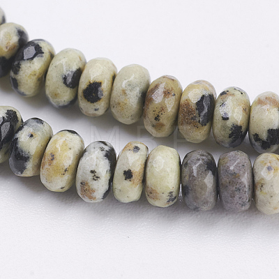 Natural Dalmatian Jasper Beads Strands G-K255-08A-1