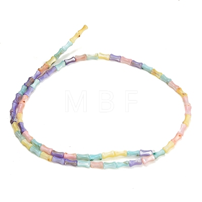 Natural Freshwater Shell Beads Strands SH-CBA93AD-04-1
