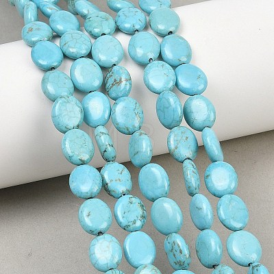 Natural Magnesite Beads Strands G-Z143-E01-01A-1