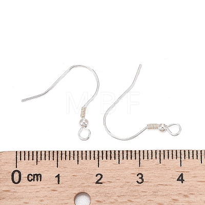 925 Sterling Silver Earring Hooks STER-T002-166S-1