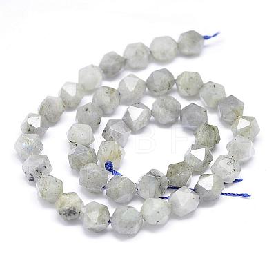 Natural Labradorite Beads Strands G-N0313-08-8mm-1