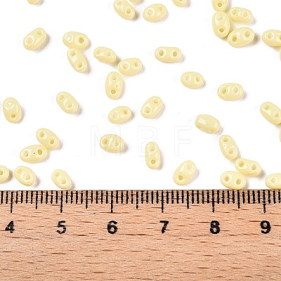 Baking Paint Glass Seed Beads SEED-T006-03B-1