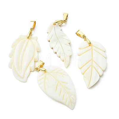 Natural Freshwater Shell Carved Pendants PALLOY-JF05384-1