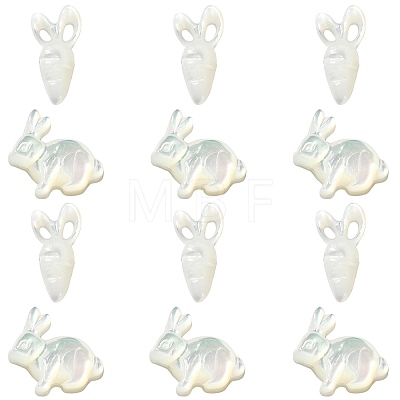 6Pcs 2 Styles Natural White Shell Beads BSHE-CJ0001-05-1