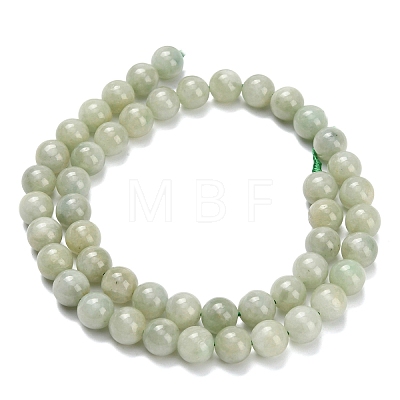 Natural Myanmar Jade/Burmese Jade Beads Strands G-L642-B11-8mm-1