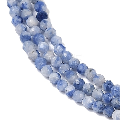 Natural Blue Spot Jasper Beads Strands G-A252-A02-01-1