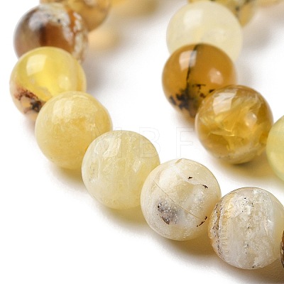 Natural Yellow Opal Beads Strands G-Q1001-A02-01-1