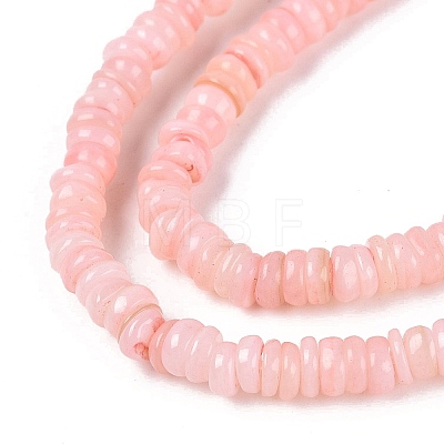 Natural Freshwater Shell Beads Strands SHEL-Q028-01D-1