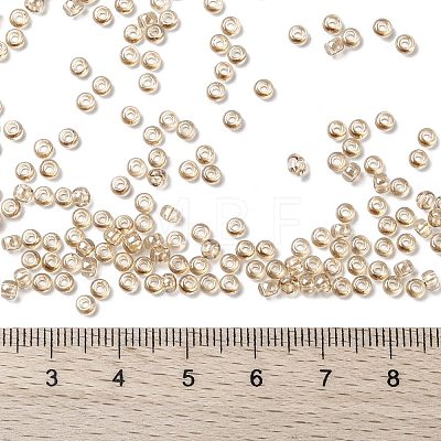 MIYUKI Round Rocailles Beads X-SEED-G008-RR2439-1