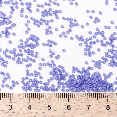 MIYUKI Round Rocailles Beads SEED-G009-RR0417L-1