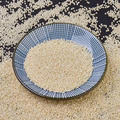 MIYUKI Delica Beads SEED-X0054-DB1560-1