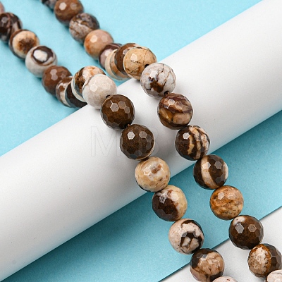 Natural Zebra Jasper Beads Strands G-C079-B01-02-1