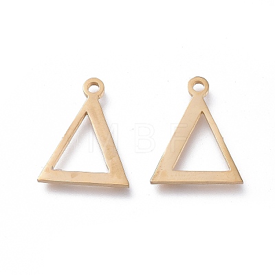 304 Stainless Steel Charms STAS-L263-03G-1
