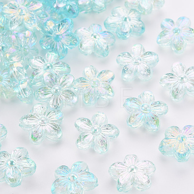 Transparent Acrylic Beads TACR-S154-45C-754-1