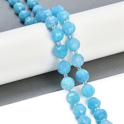 Natural Amazonite Beads Strands G-G182-B10-05-1