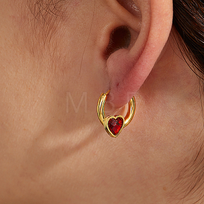 Stainless Steel Hoop Earrings for Women RQ2025-1