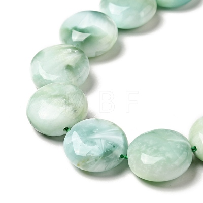 Natural Glass Beads Strands G-I247-33B-1