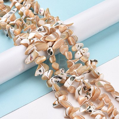 Natural Trochus Shell Beads Strands SSHEL-H070-03A-1