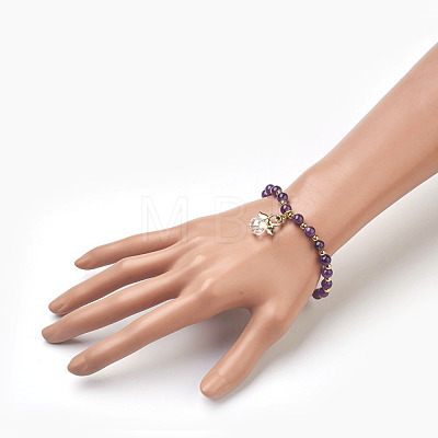 Natural Mixed Stone Beads Stretch Charm Bracelets BJEW-JB03857-1