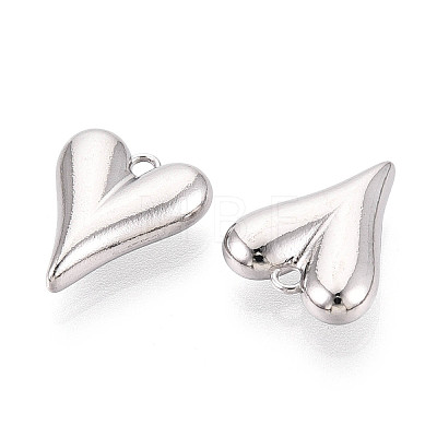 304 Stainless Steel Charms STAS-T065-81P-1