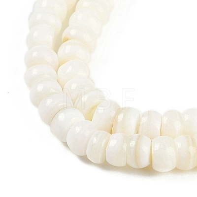 Natural Freshwater Shell  Beads Strands BSHE-H109-07-1