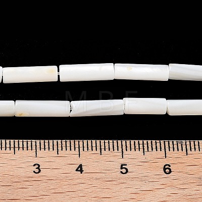 Freshwater Shell Beads Strands X-BSHE-L037-13-1