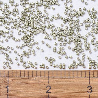 MIYUKI Delica Beads SEED-J020-DB1181-1