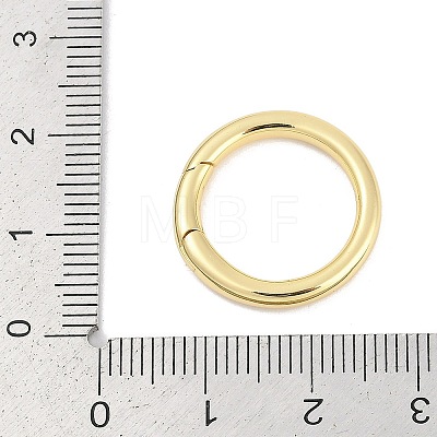 Brass Spring Gate Rings KK-M311-29A-G-1