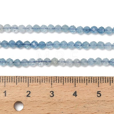 Gradient Color Natural Devil Blue Aquamarine Beads Strands G-NH0072-B01-3mm-1