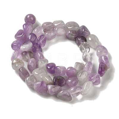 Natural Amethyst Beads Strands G-B078-D12-01-1