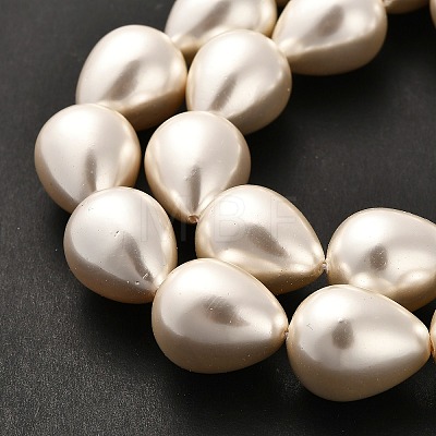 Electroplate Shell Pearl Beads Strands BSHE-G010-16x20mm-01-1