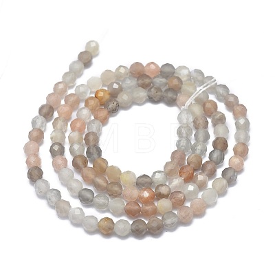 Natural Multi-Moonstone Beads Strands G-G792-44-1