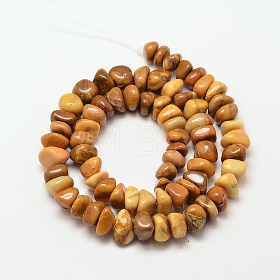 Natural Gemstone Chip Beads Strands G-P091-45-1
