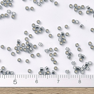 MIYUKI Delica Beads X-SEED-J020-DB0048-1