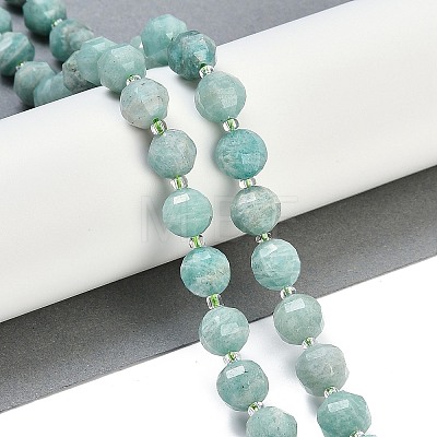 Natural Amazonite Beads Strands G-G182-B17-05-1