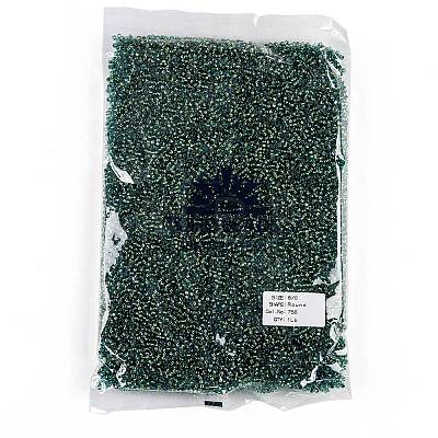 TOHO Round Seed Beads SEED-TR08-0756-1