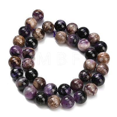 Natural Charoite Beads Strands G-G300-A01-10mm-1